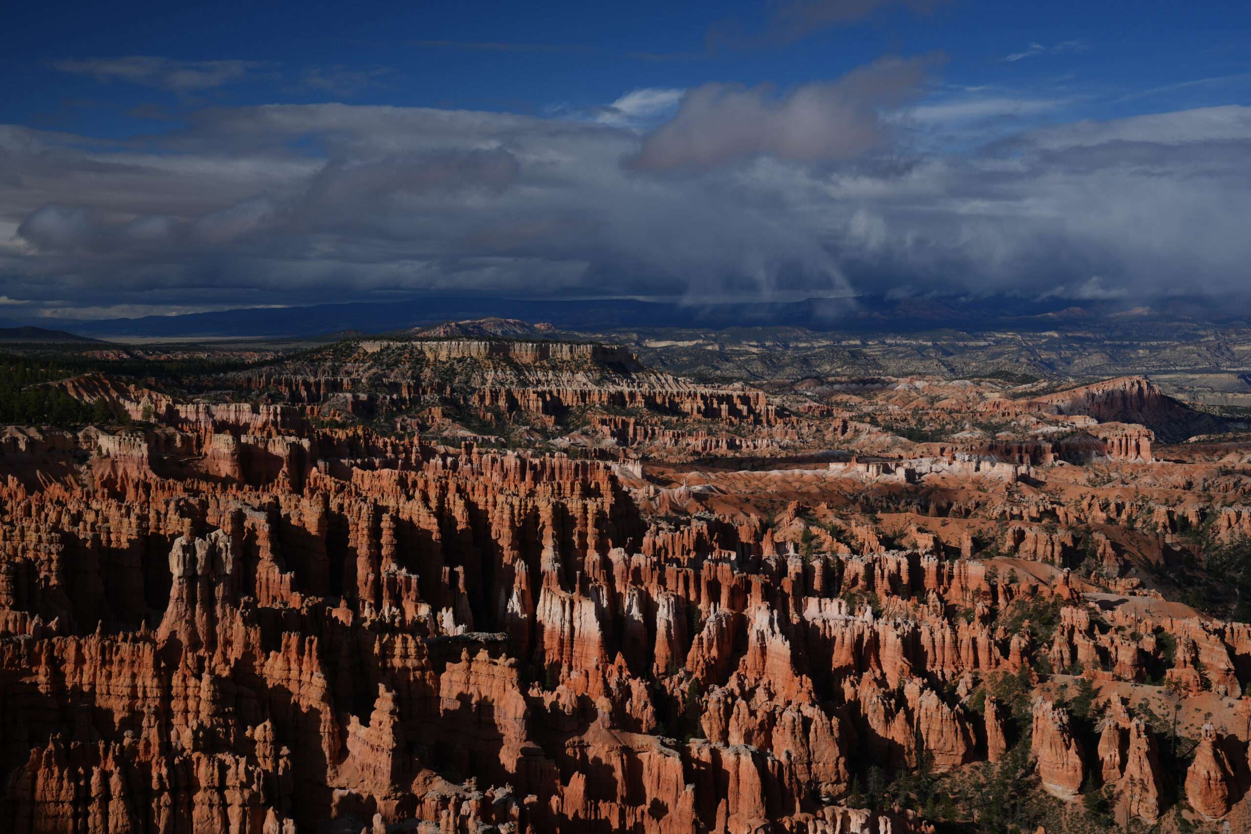 The Gutting of the National Park Service