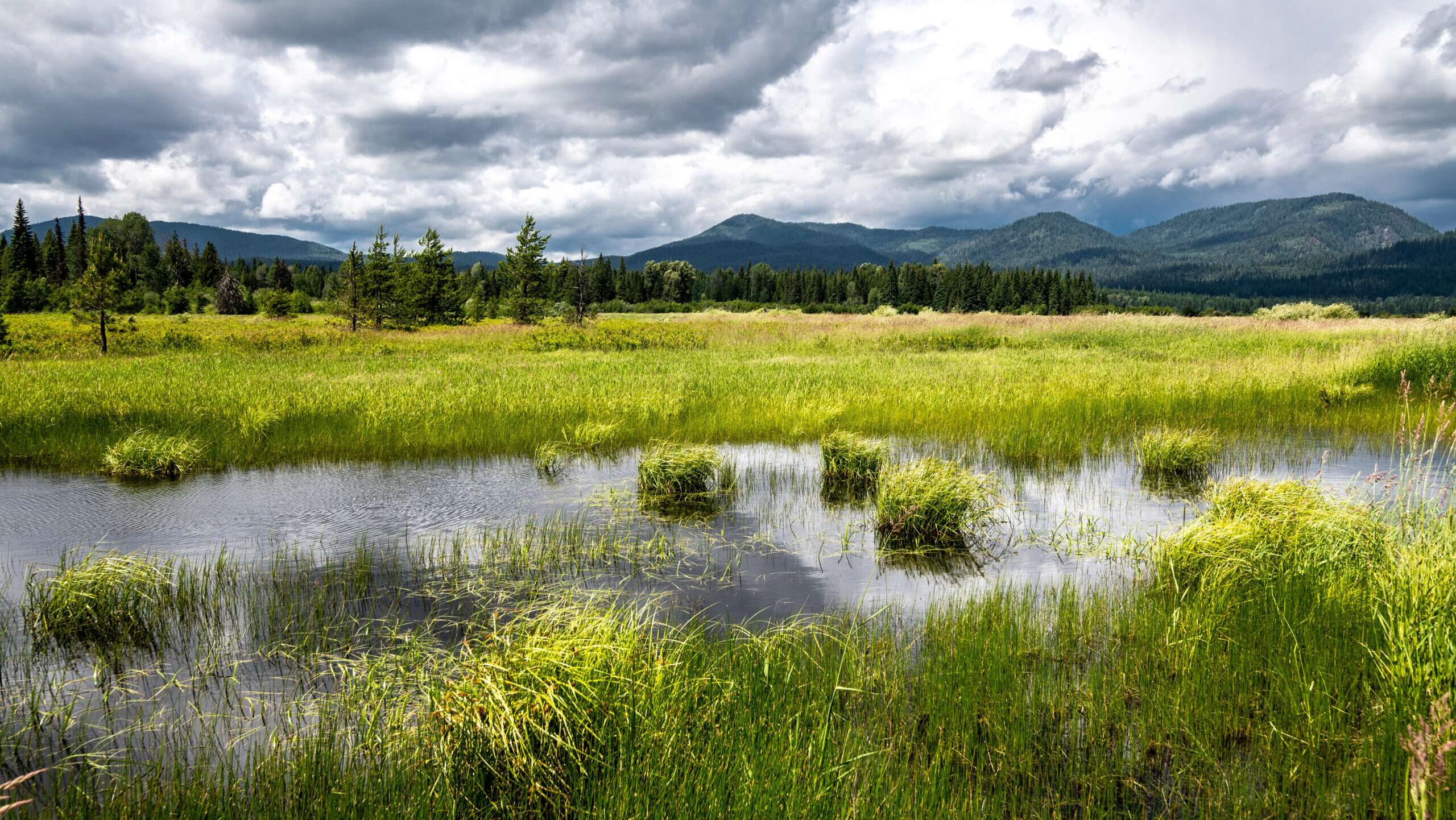 Why Is the Army Corps Still Harassing Idaho Landowners?