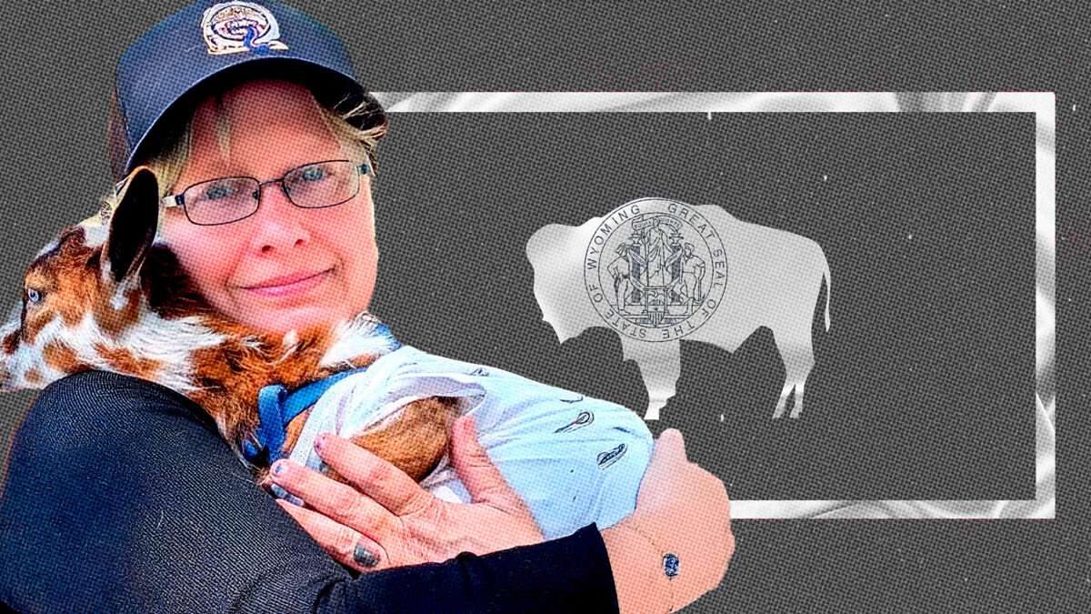 Wyoming Woman Sues Her Town To Let Her Keep Her Pet Pygmy Goat