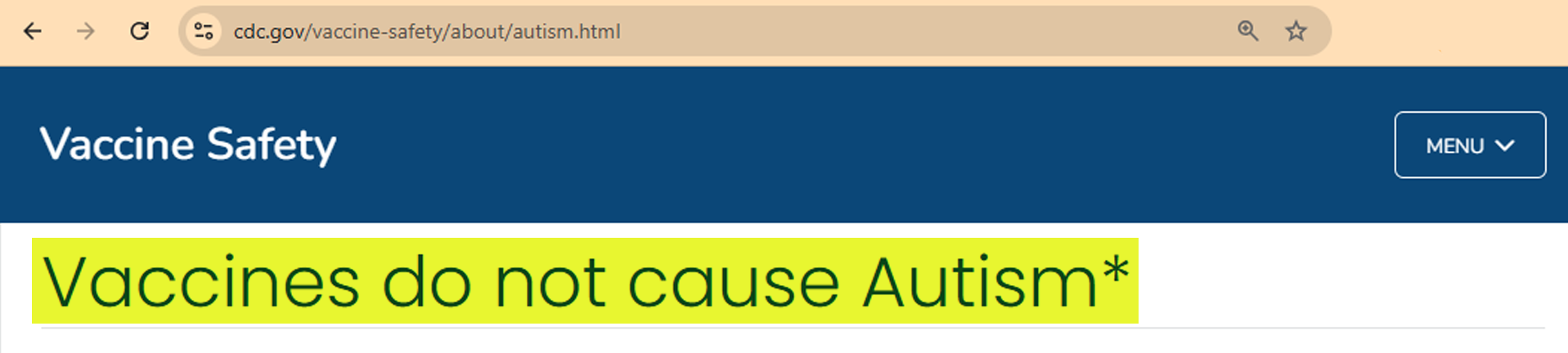 A screenshot from the CDC website that says "Vaccines do not cause autism"