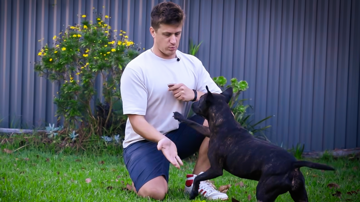 Man Successfully Designs mRNA Vaccine To Treat His Dog's Cancer