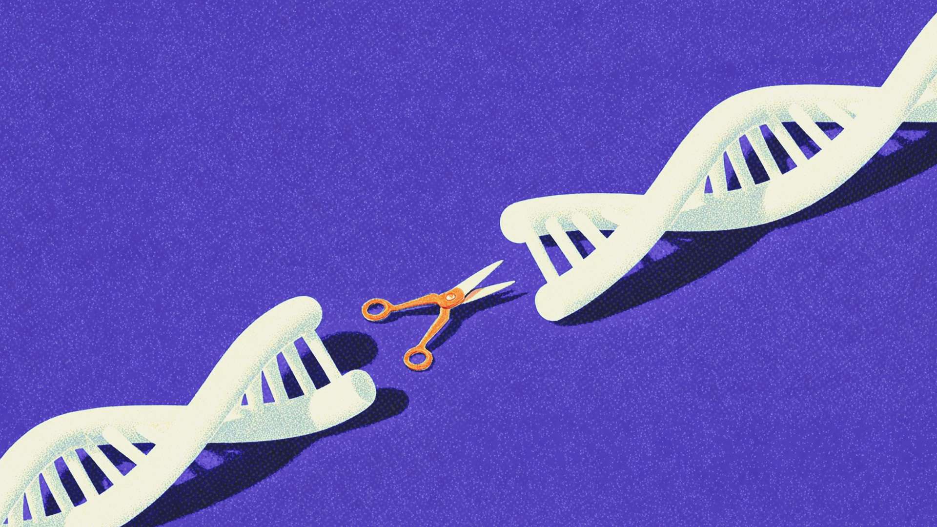 New Embryo Editing Technique Takes Us a Step Closer to Designing Babies Without Disease