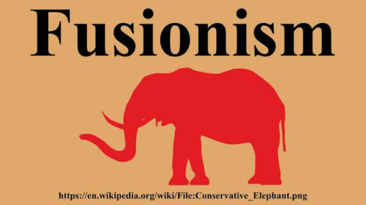 Fusionism and its Limits