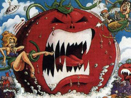 Killer tomatoes allowed to roam free - not Killer tomatoes allowed to roam free - not