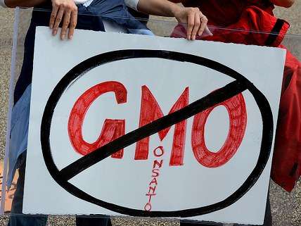 GMO protest