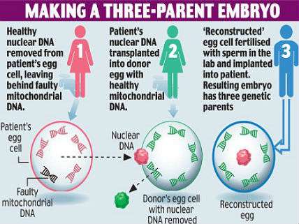 Three parent baby technique