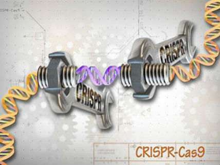 CRISPR