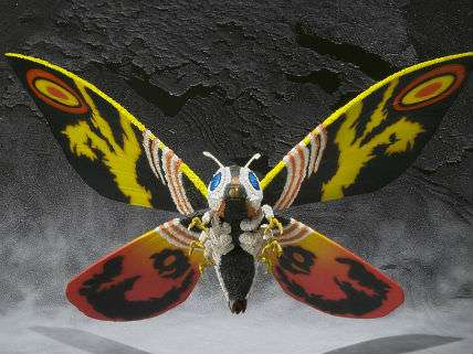 Mothra