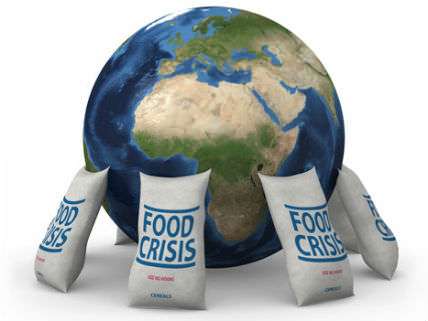 Food Crisis