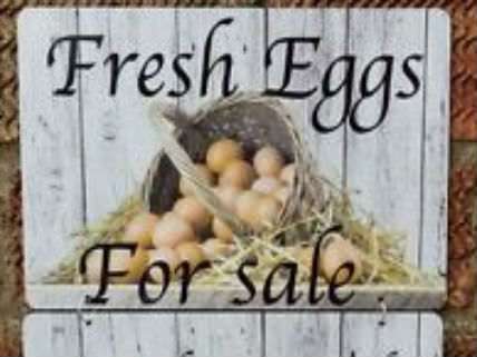 EggsforSale