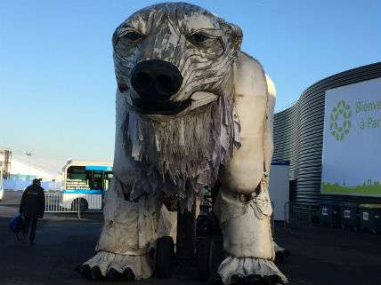 GreenpeaceBear