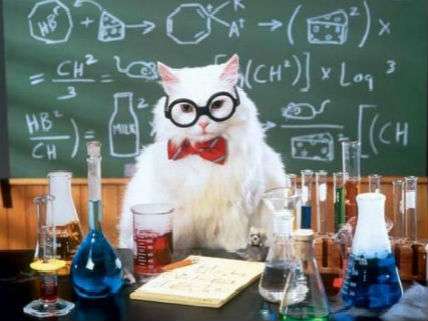 Catscientist