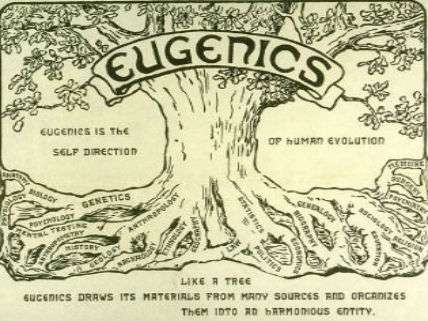 EugenicsTree