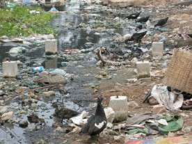 Polluted River