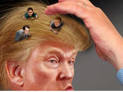 Donald Trump Hair