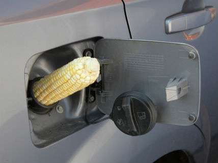 CornTankBiofuelsAndreblaisDreamstime