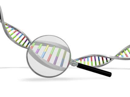 GeneticTestingAgawa288Dreamstime