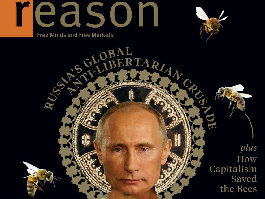 BeePutinCover