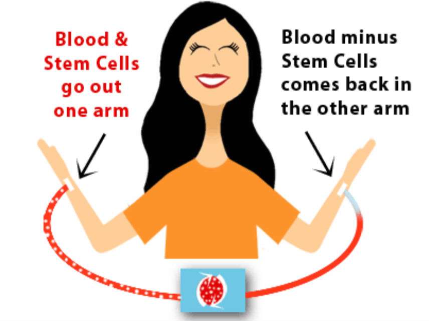 BoneMarrowStemCellsMarrowDrives