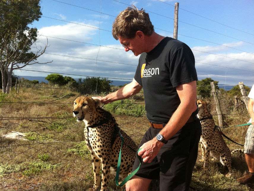 RonaldBaileyCheetah