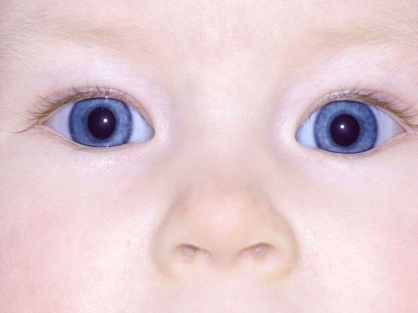 BabyBlueEyesZoltanNagyDreamstime