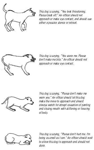 Dog body language