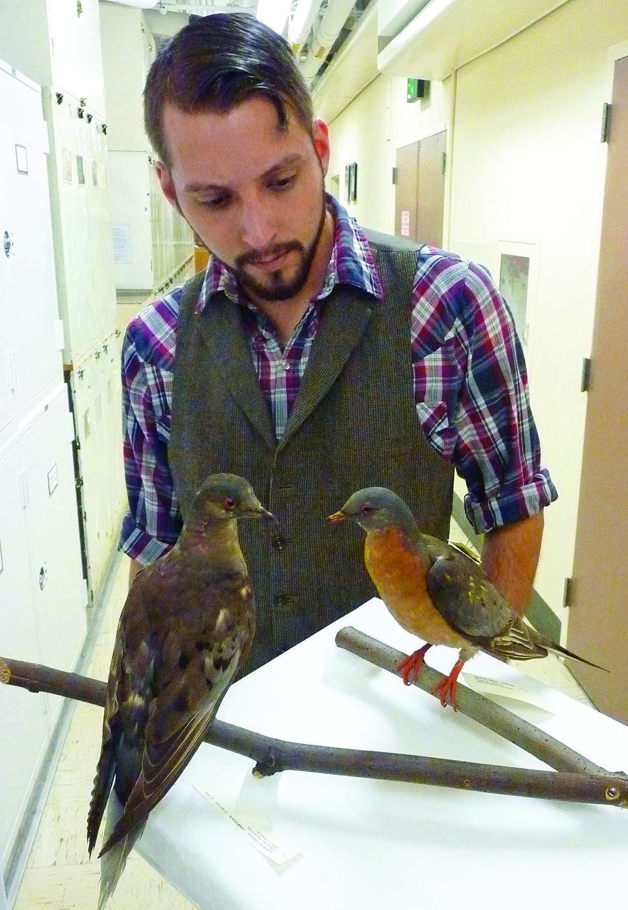 Ben Novak and Martha, the last passenger pigeon 