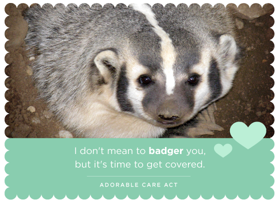 Is badger really the animal you want us to associate with Valentine's Day?