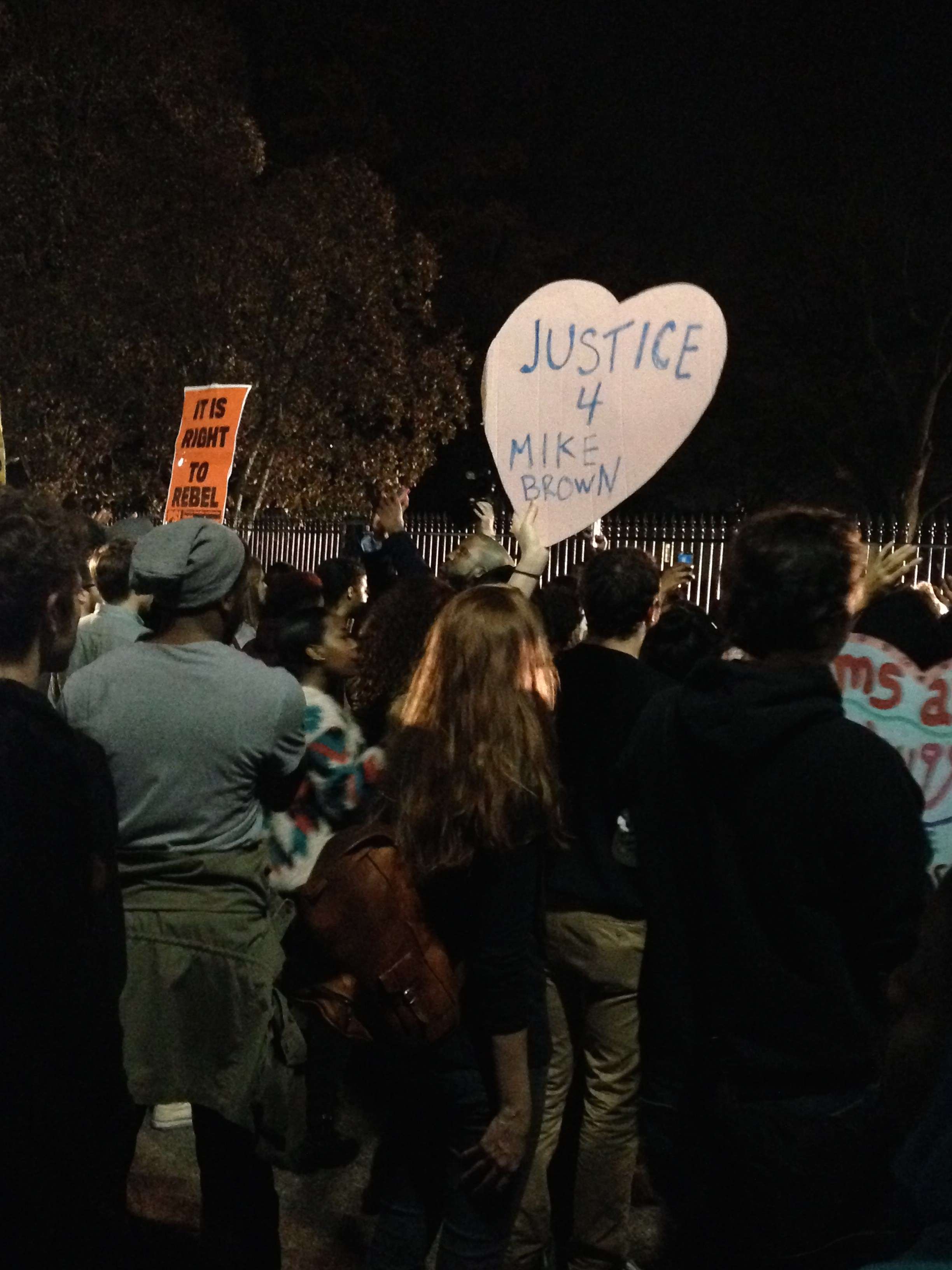 White House protesters after Ferguson decision.
