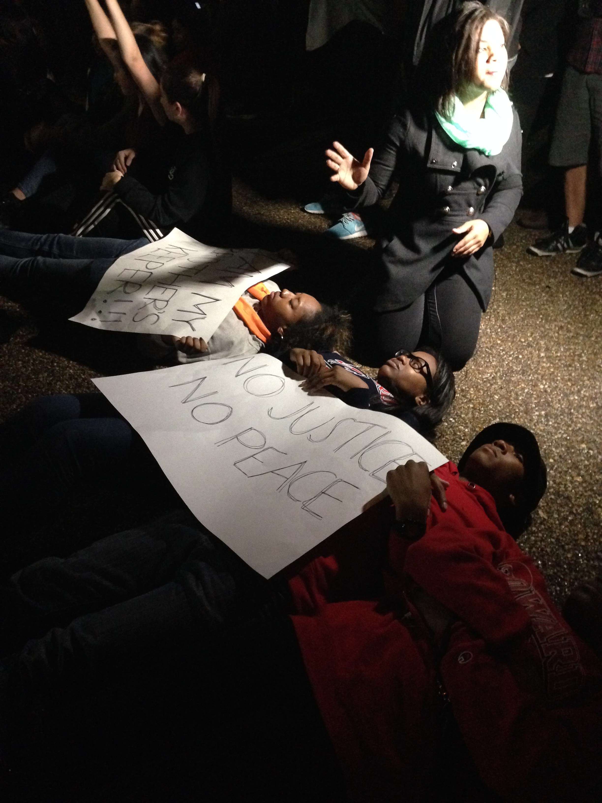 White House protesters after Ferguson decision.