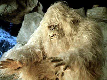 Yeti