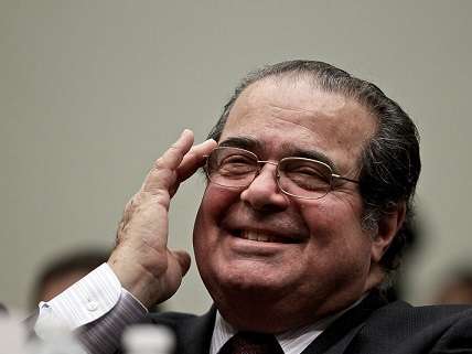 Scalia