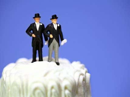 The cake is not a lie, but claims of possible widespread discrimination are.