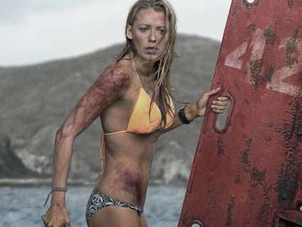 The Shallows