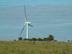 wind farm