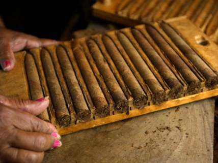 Cuban cigars