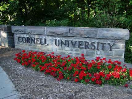 Cornell