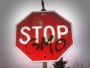 Stop GMO sign
