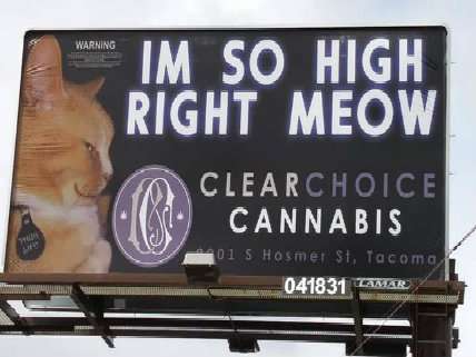 Clear Choice Cannabis Billboard