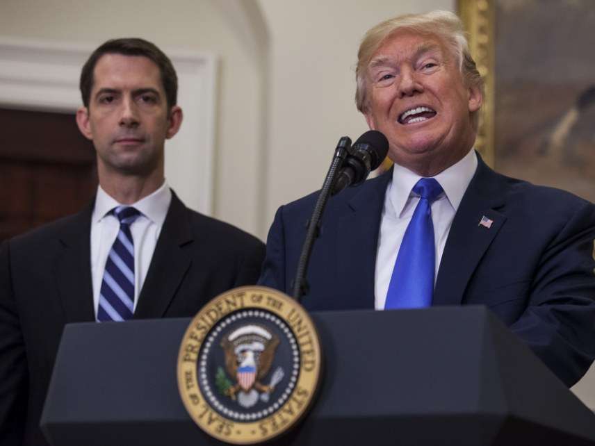 Tom Cotton and Trump