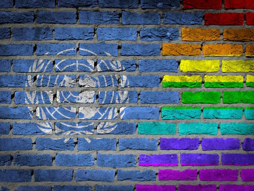 Gay United Nations flag