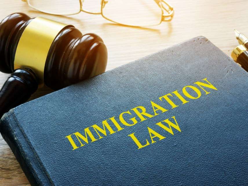 Immigration Law