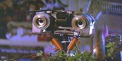 johnny5 johnny5