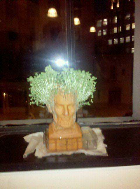 With sprouts like this, it's easy to see how Lincoln handily won the four-way race of 1860.