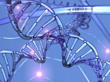 Who's afraid of their genomes? Who's afraid of their genomes?