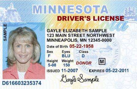 Minnesota driver's license