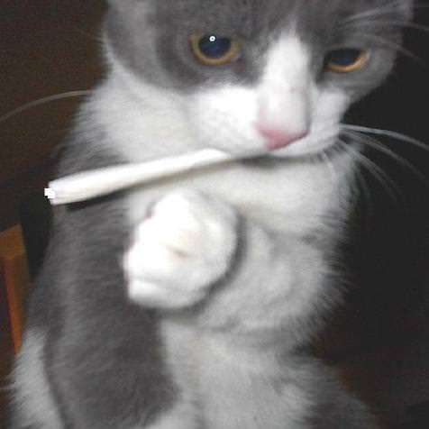 Hang in there, baby, legalization's coming.
