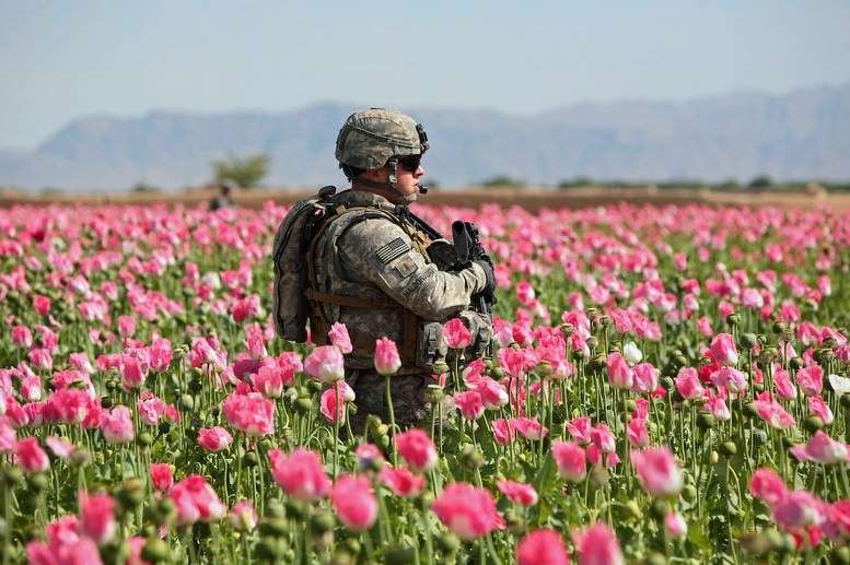 Flanders Field's got nothing on this patch