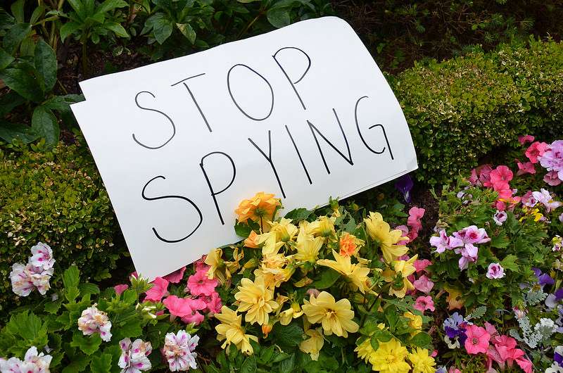 Proof that NSA's critics are a bunch of pansies.