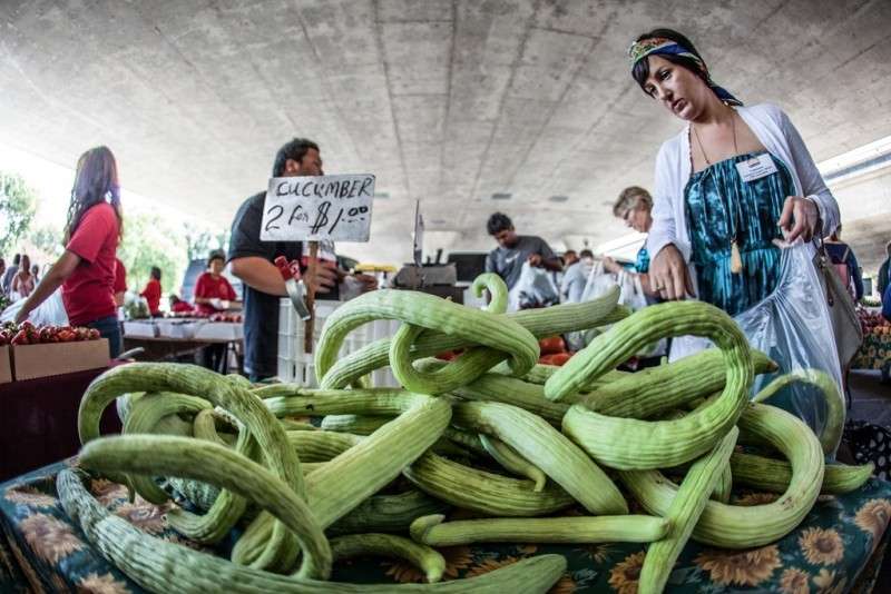 Farmer's market